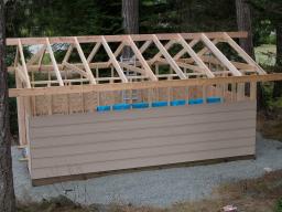 new shed - day 12